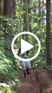 BIB:  <button type="button" onclick="openModal(26569629)" class="btn btn-primary btn-sm float-right" data-toggle="modal" data-target=".modal-high-quality">
                <i class="fa fa-download"></i> Download
                </button>